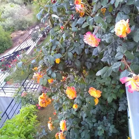 Jasmine Luxury Appartement PalaiónTsiflíkion