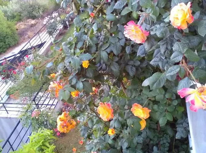 Jasmine Luxury 公寓 PalaiónTsiflíkion